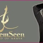Meem seen abayas – New Branded Abaya designs 2012