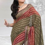 Asian saree designs 2013