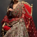 Designers bridal saree