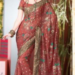 Fancy indian bridal saree