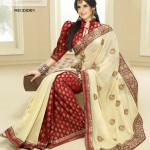 Indain bridal saree designs 2012