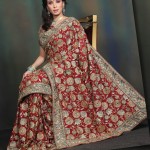 2012 Bridal Saree
