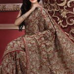 Pakistani saree designs 2012