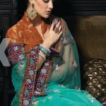 Stylish saree for bride
